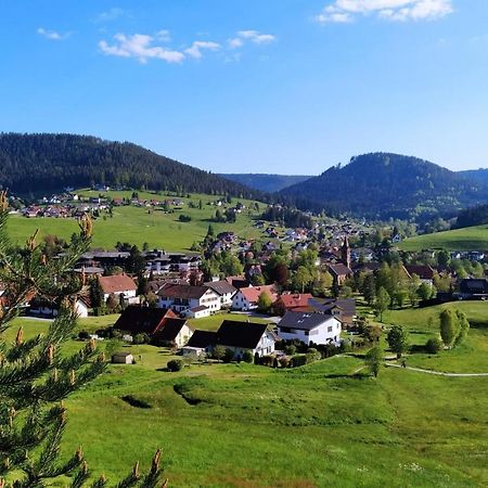 Ferienwohnung, Sauna & Gaestekarte Gratis Im Schwarzwald Baiersbronn Exterior photo