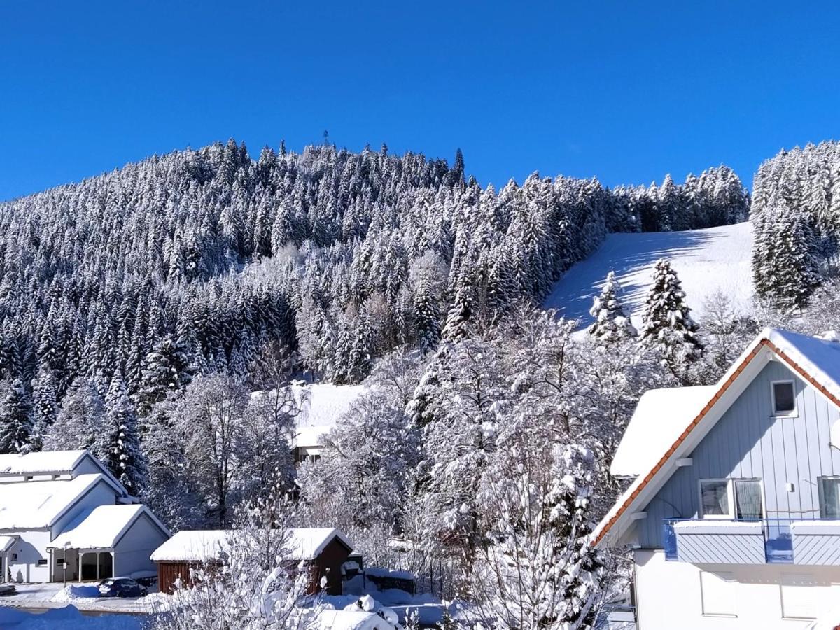 Ferienwohnung, Sauna & Gaestekarte Gratis Im Schwarzwald Baiersbronn Exterior photo