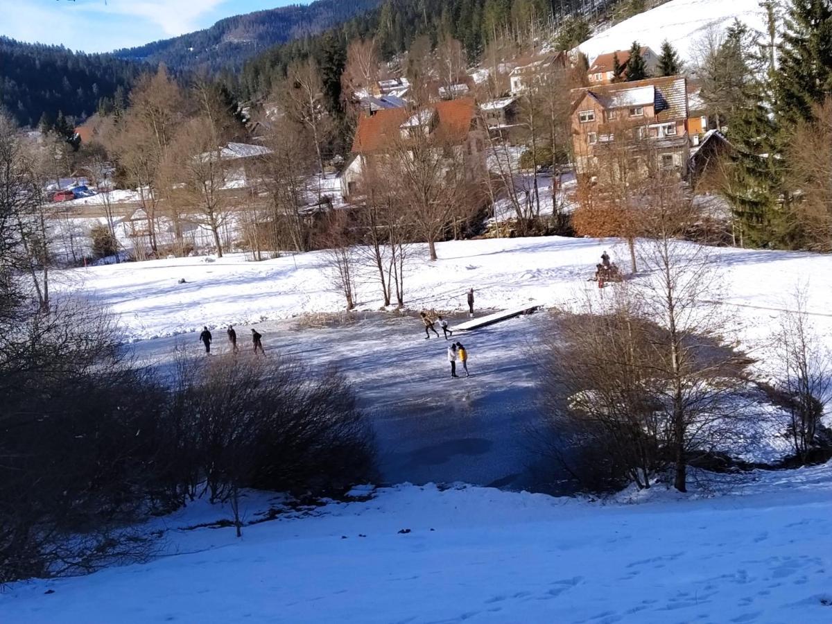 Ferienwohnung, Sauna & Gaestekarte Gratis Im Schwarzwald Baiersbronn Exterior photo